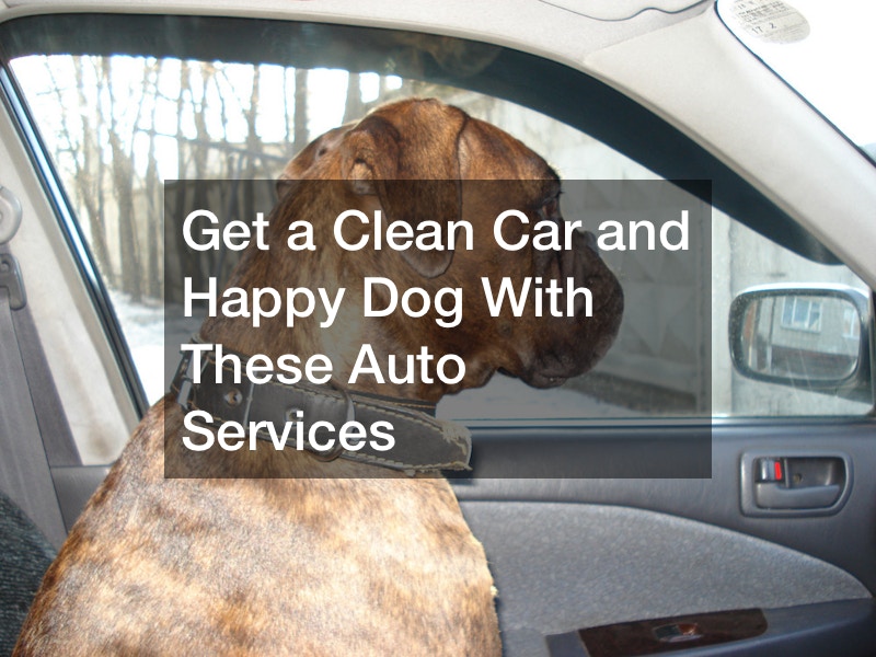 Get a clean car and happy dog with these auto services